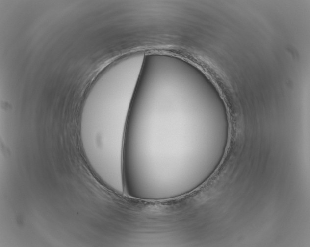 X0000090971169200708021136