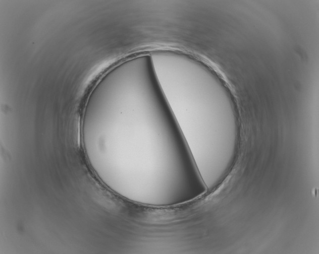 X0000090971171200708021136