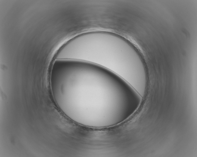 X0000090971173200708021136