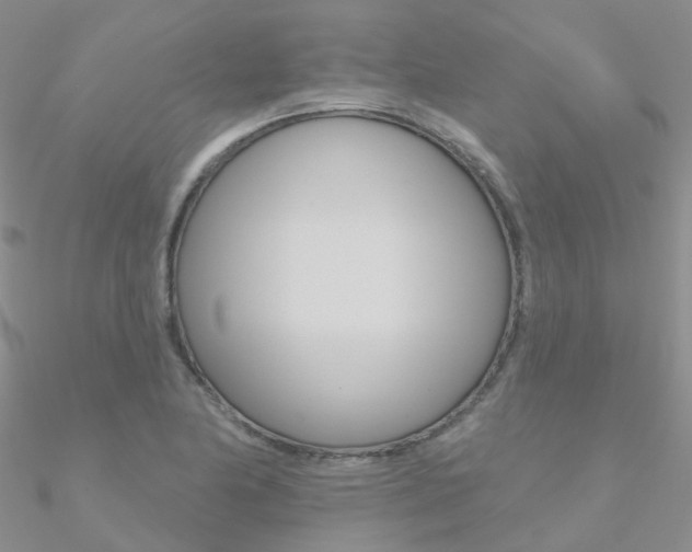 X0000090971174200708021136