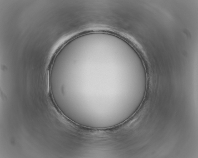 X0000090971175200708021136