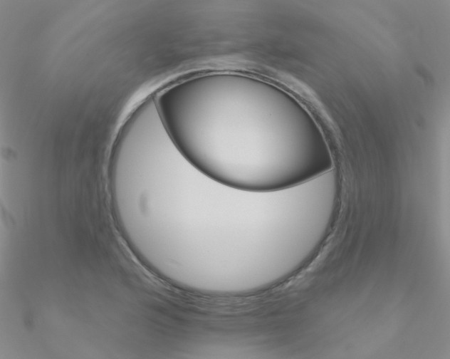 X0000090971176200708021136