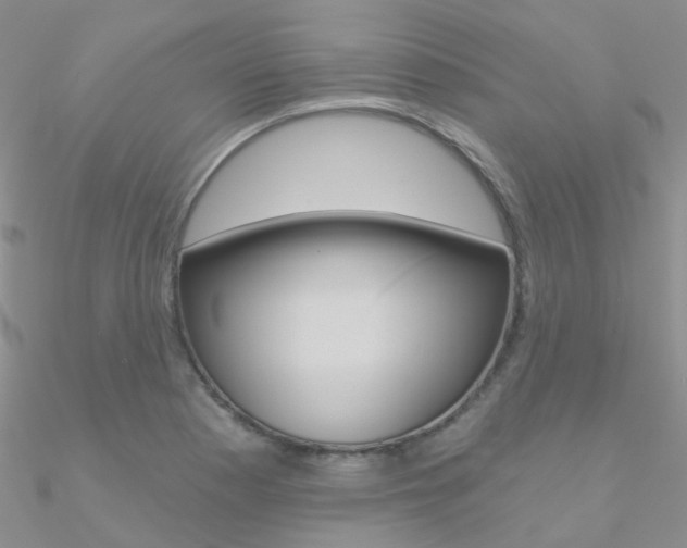 X0000090971177200708021136