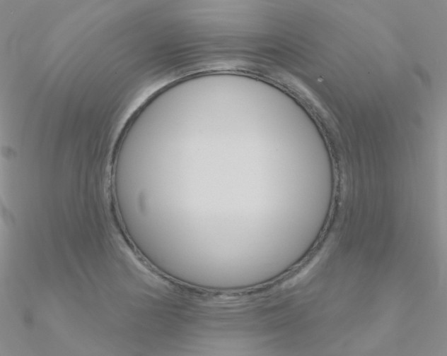 X0000090971178200708021136