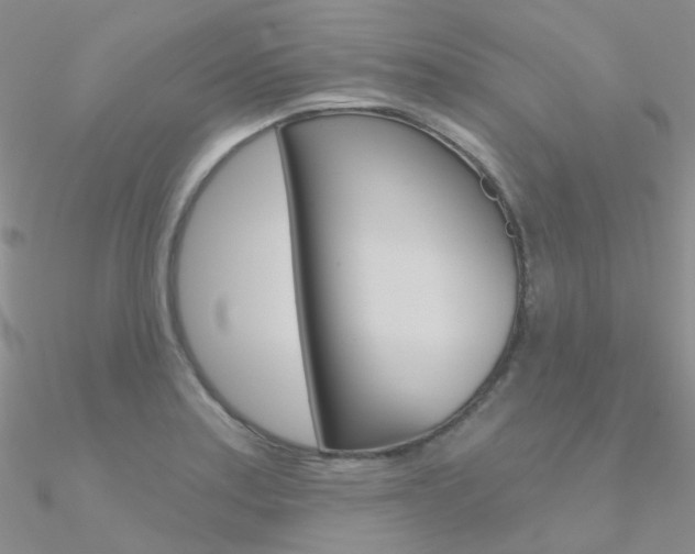 X0000090971179200708021136