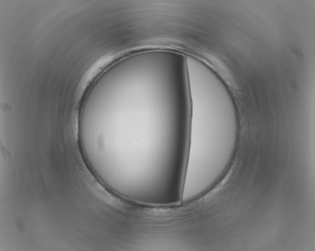 X0000090971180200708021136