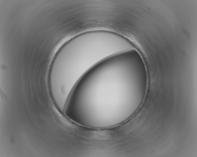 X0000090971181200708021136