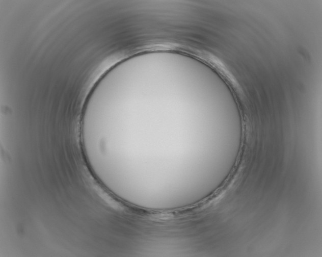 X0000090971186200708021136