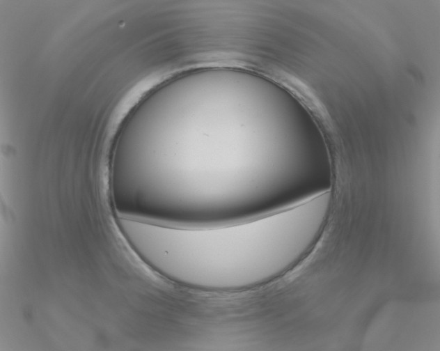 X0000090971188200708021136
