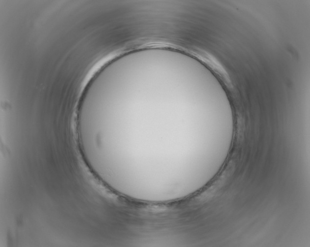 X0000090971190200708021136