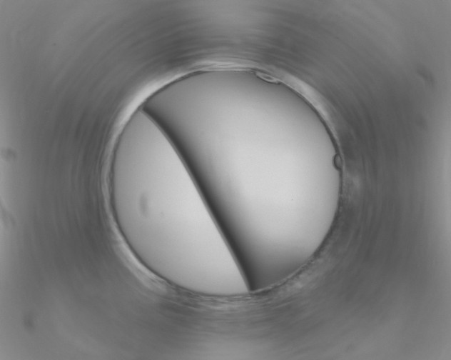 X0000090971195200708021136