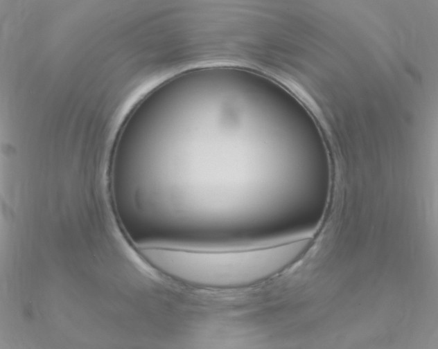 X0000090971197200708021135