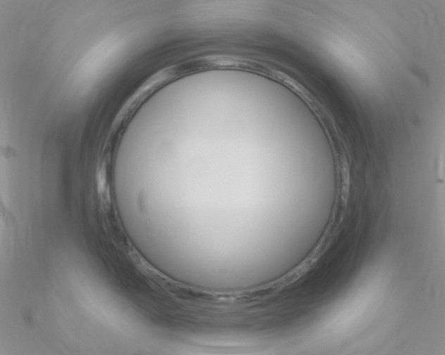 X0000090971198200708021135