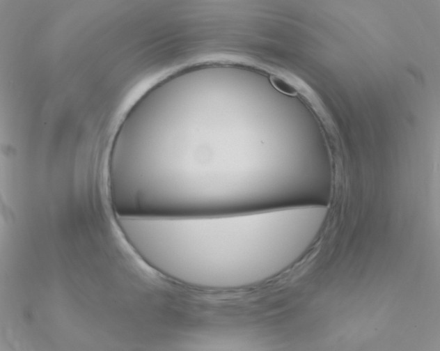 X0000090971199200708021135