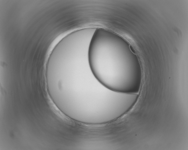 X0000090971200200708021135
