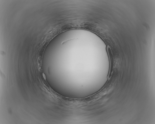 X0000090971202200708021135