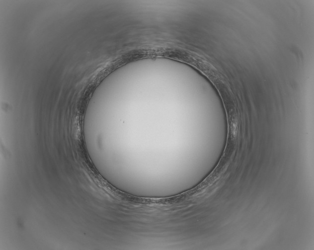 X0000090971204200708021135