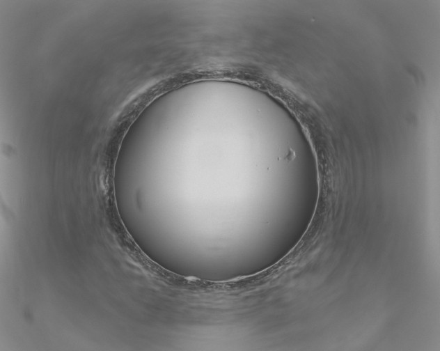 X0000090971206200708021135