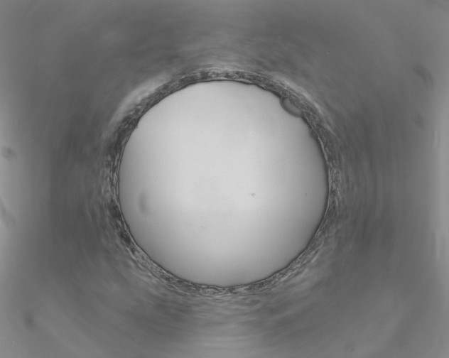 X0000090971207200708021135