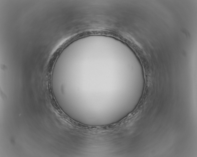 X0000090971208200708021135