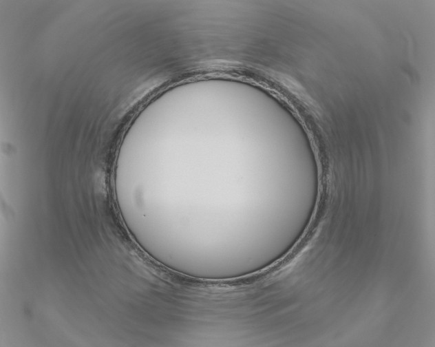 X0000090971209200708021135