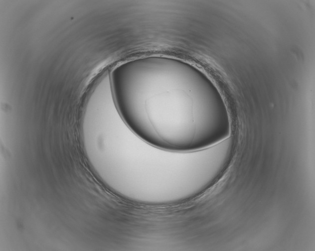 X0000090971210200708021135