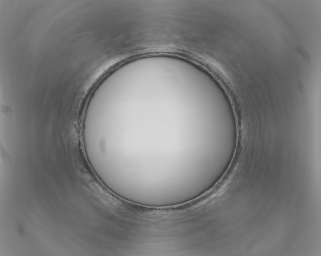 X0000090971212200708021135