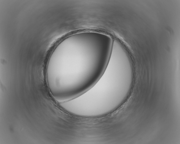 X0000090971214200708021135