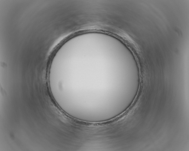 X0000090971216200708021135