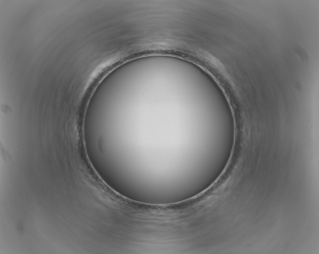 X0000090971218200708021135