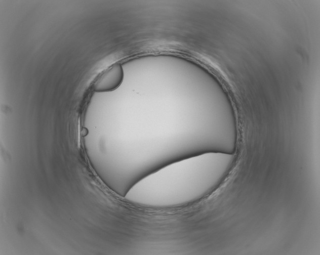 X0000090971219200708021135