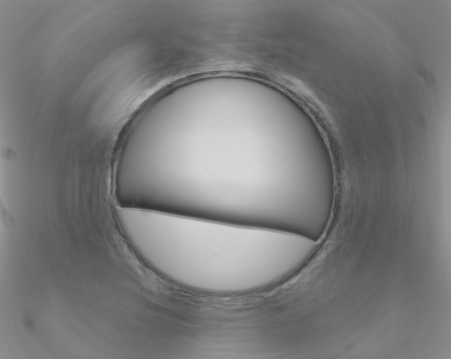 X0000090971220200708021135