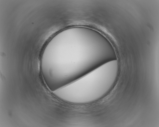 X0000090971221200708021135