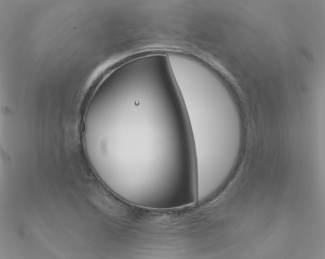 X0000090971222200708021135