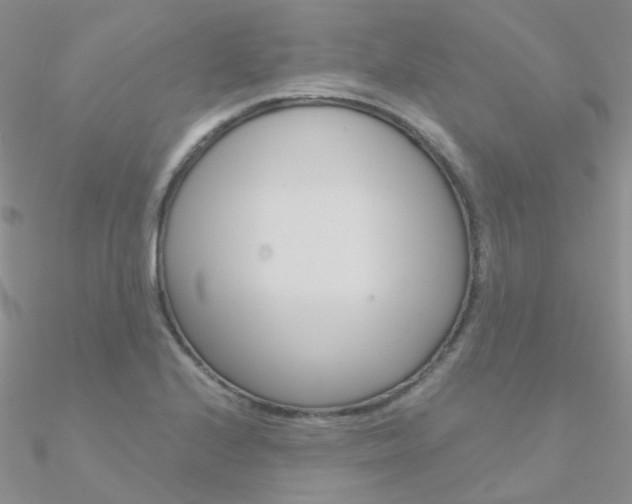 X0000090971224200708021135