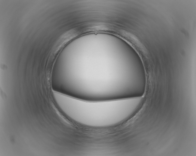 X0000090971225200708021135