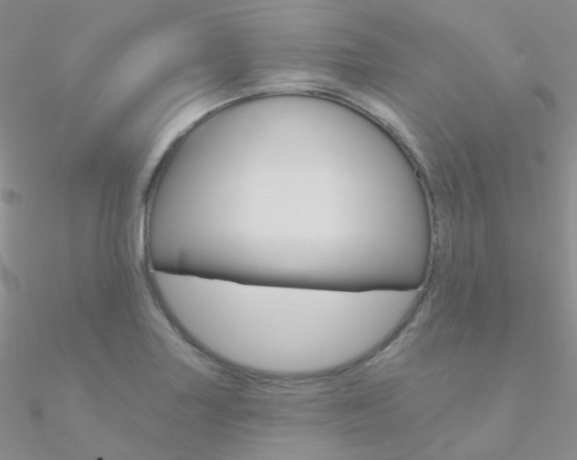 X0000090971227200708021135