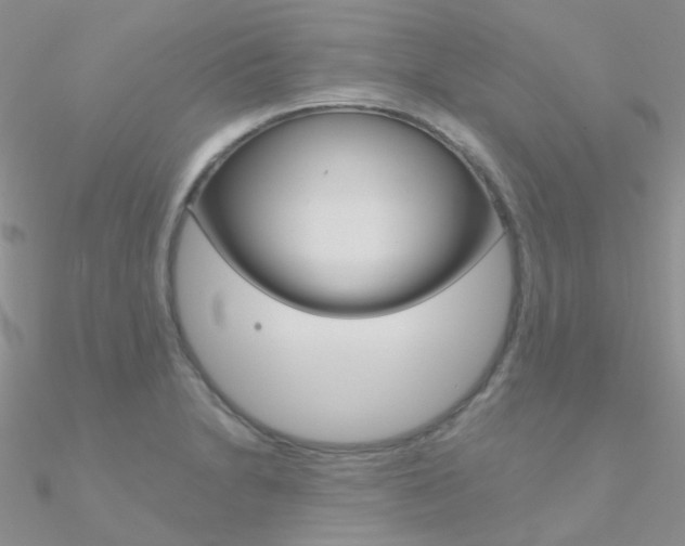 X0000090971230200708021135