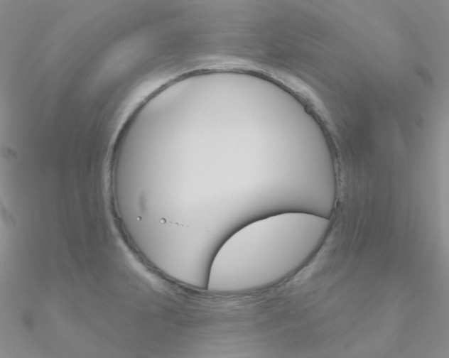 X0000090971231200708021135