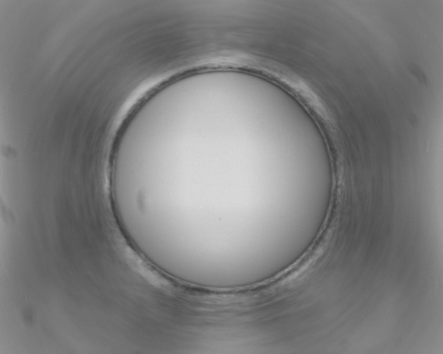 X0000090971232200708021135