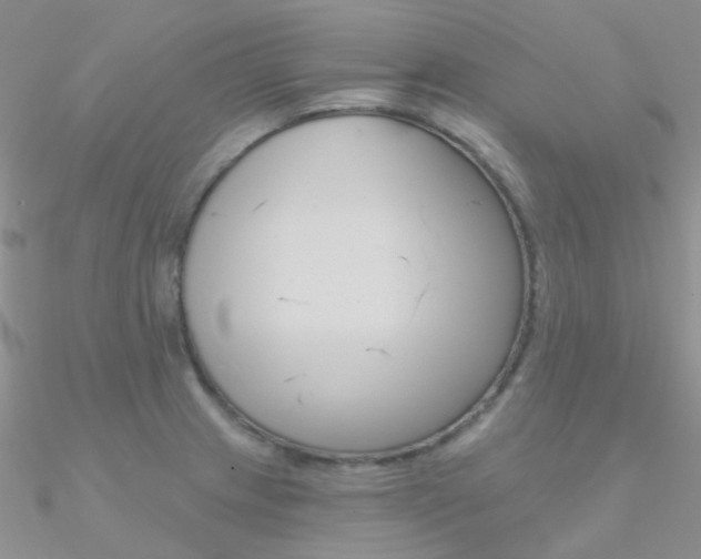 X0000090971233200708021135