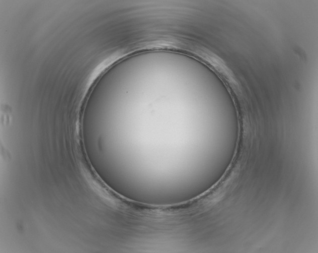 X0000090971234200708021135