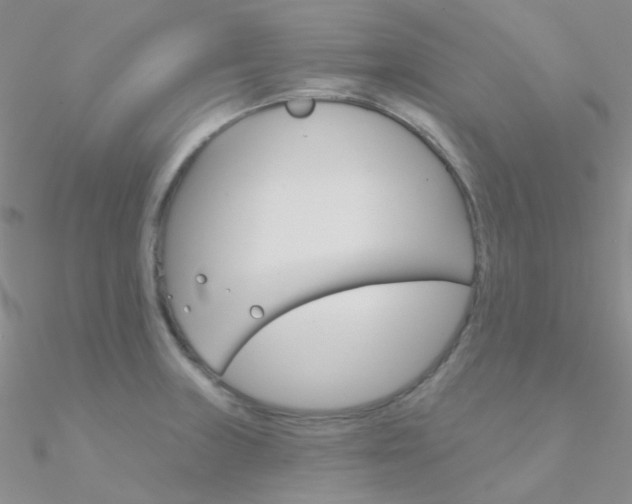 X0000090971235200708021135