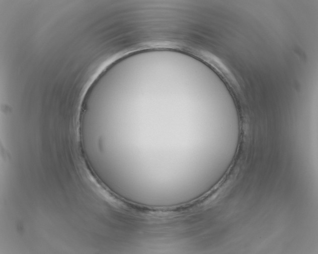 X0000090971236200708021135