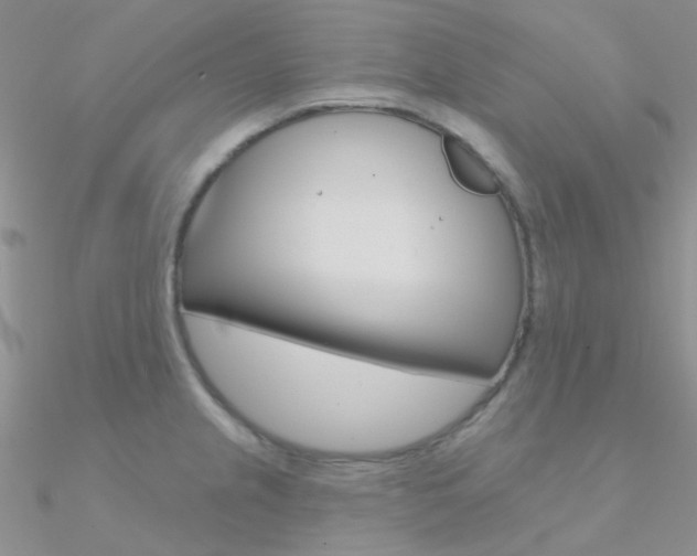 X0000090971237200708021135