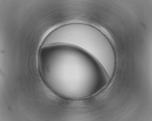 X0000090971238200708021135