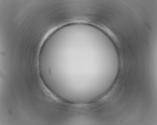 X0000090971240200708021135