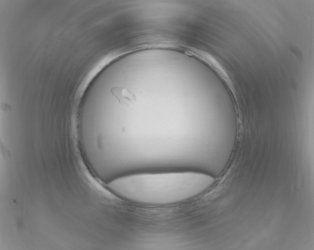 X0000090971243200708021135