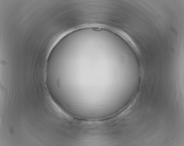 X0000090971244200708021135