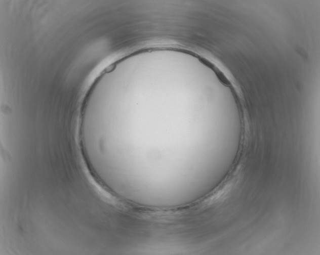 X0000090971245200708021135